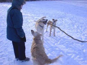 Hello. My name is Gracie. And, I need love, love to ease my mind...