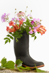 Wellie with flowers
