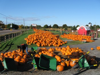 elengreyIMG_0278small