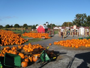 elengreyIMG_0279small