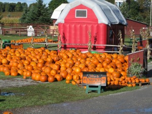 elengreyIMG_0280small