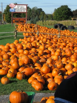 elengreyIMG_0281small