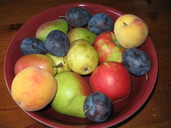 OctoberFruits OctoberFruits