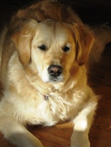 GracieAllenApril2010