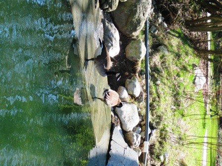 one-leggedbathEGApril2010