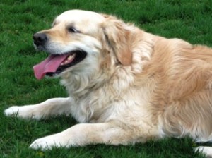 Gracie pants 1 May 2010