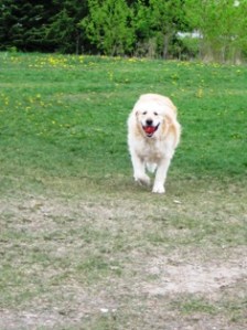 Gracie plays 2 May 2010