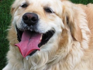 Gracy pants 2 May 2010