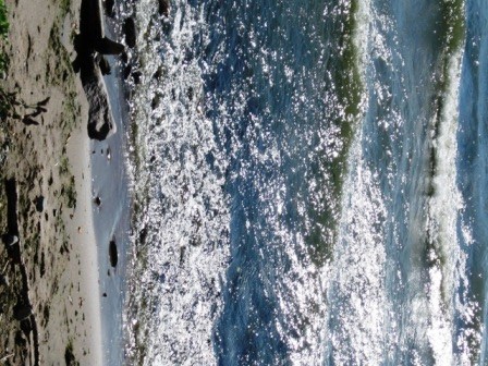 elen_grey_october_2010_IMG_1647