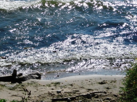 elen_grey_october_2010_IMG_1648