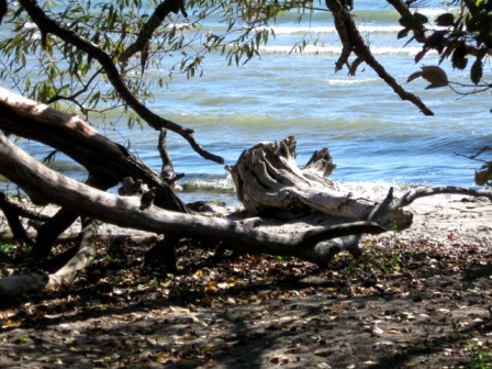 elen_grey_october_2010_IMG_1668