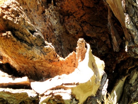 elen_grey_october_2010_IMG_1669