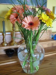 IMG_2397_elengrey_2011