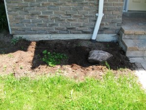 IMG_2516_elengrey_2011