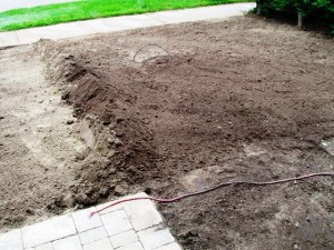 IMG_2608_2_elengrey_2011