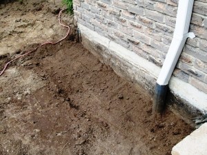 IMG_2610_2_elengrey_2011