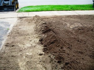 IMG_2617_2_elengrey_2011