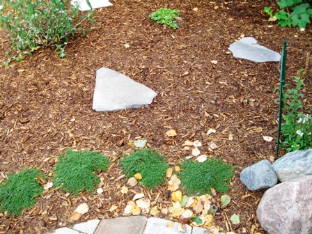 IMG_2991_elengrey_2001