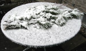 IMG_3244_2_elengrey_greens_nov_2011