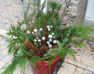 IMG_3268_2_winter_barrel_dec_2011