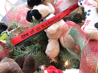 IMG_3332_TTDOC_closeup_elengrey_dec_2011