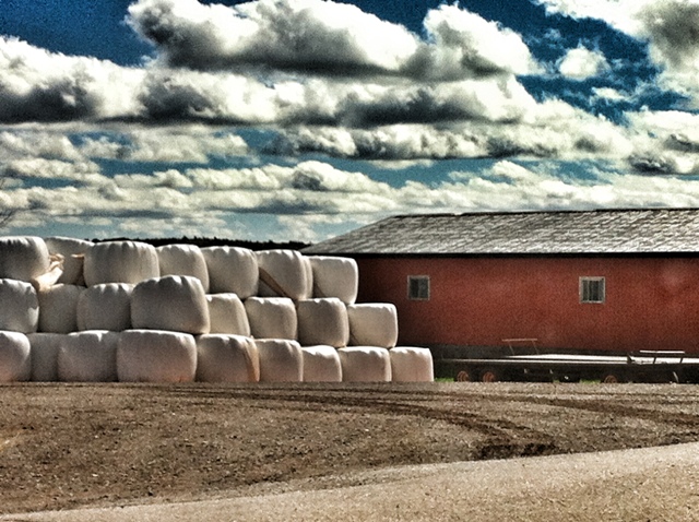 marshmallow_barn_2_elengrey_september_2012