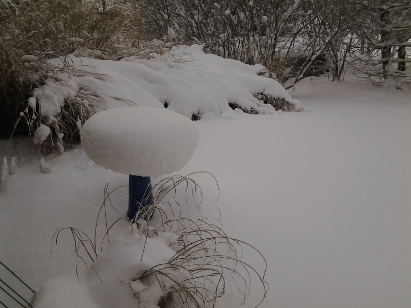 20130124_082427_michigander_sister_elengrey_january_2013