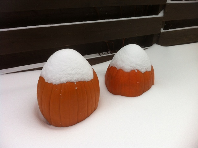snow_pumpkins_1_elengrey_december_2012