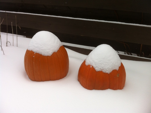 snow_pumpkins_2_elengrey_december_2012