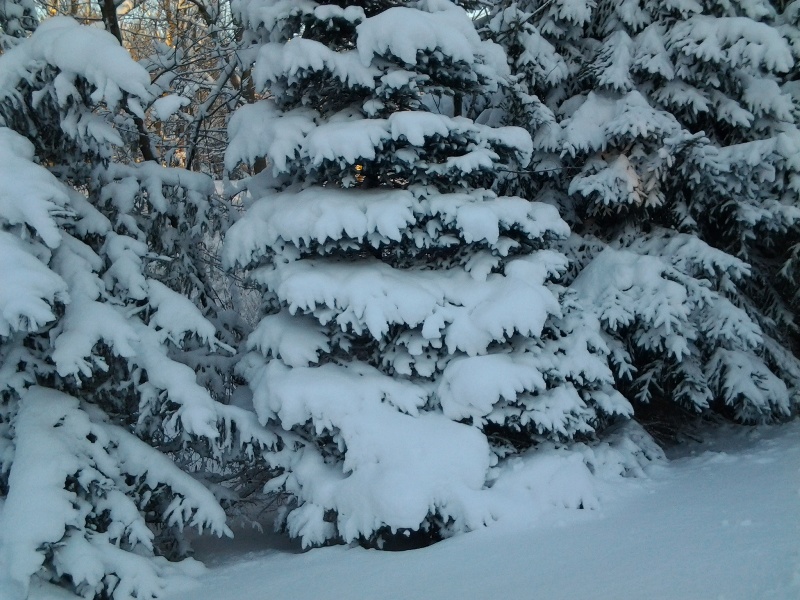 20130124_082528_michigander_sister_elengrey_january_2013