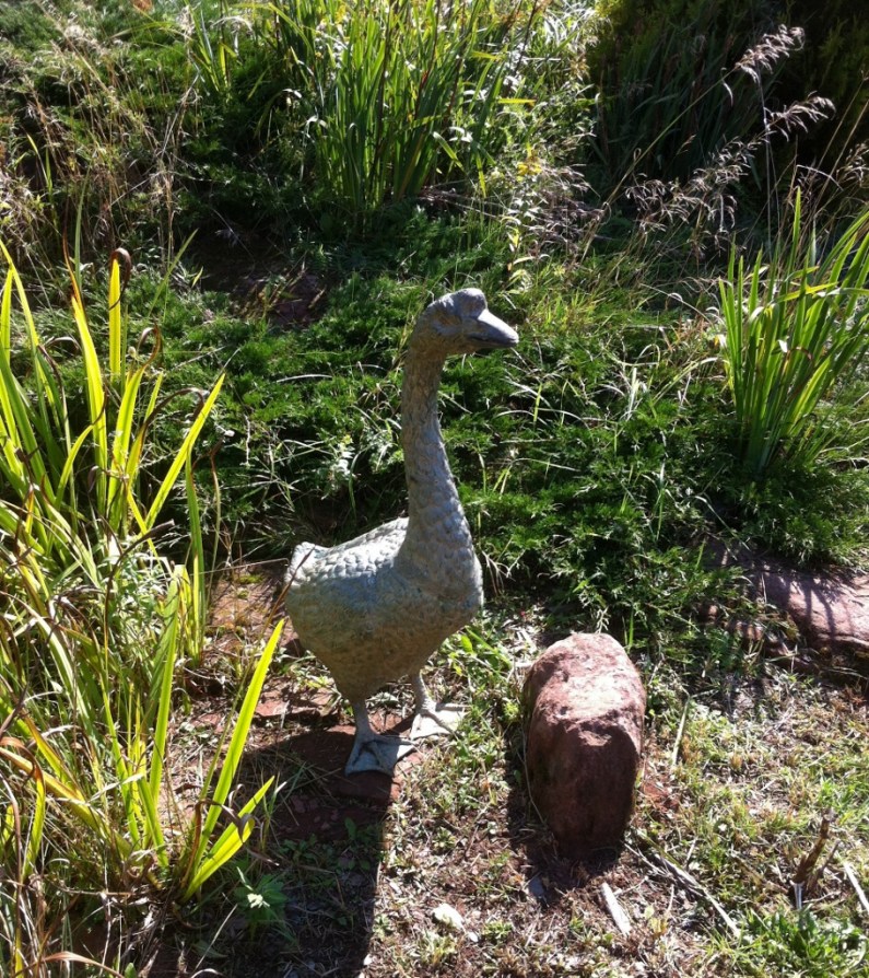 stoned_pei_elengrey_september_2012 (911x1024)