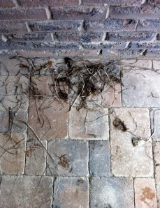 gathering_3_elengrey_april_2013 (980x1280)