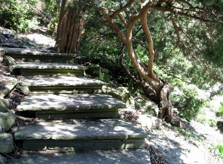 IMG_3887_twisted_elengrey_april_2013 (1280x946)