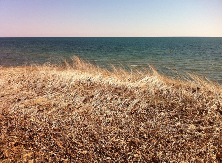 lake_grasses_elengrey_april_2013 (1280x941)