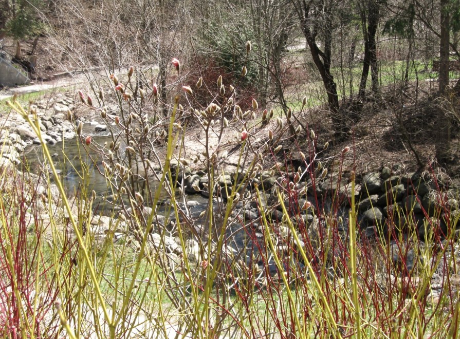 IMG_3883_impatient_elengrey_april_2013 (1280x944)