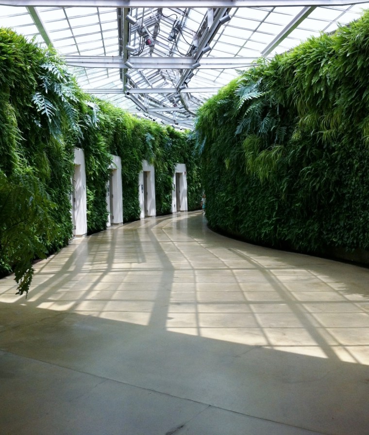 green_wall_longwood_gardens_elengrey_may_2013 (1085x1280)