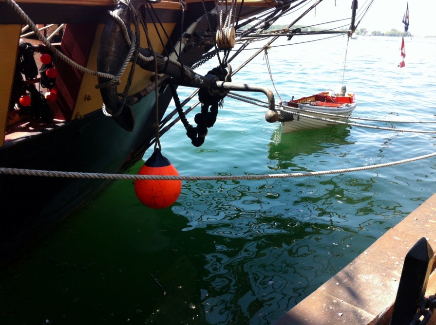 hitching_a_ride_elengrey_june_2013 (1280x956)