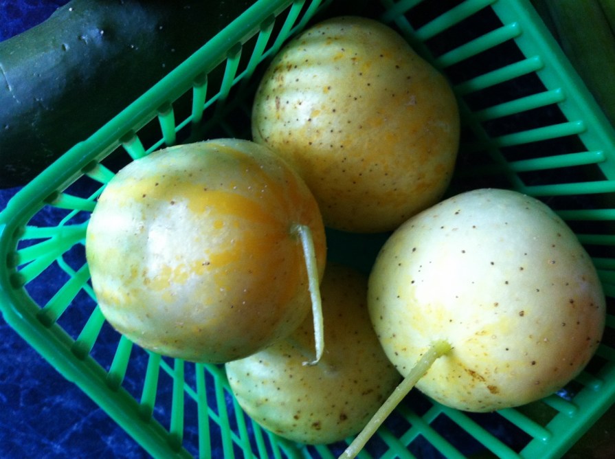 lemon_cucumber_elengrey_august_2013 (1280x956)