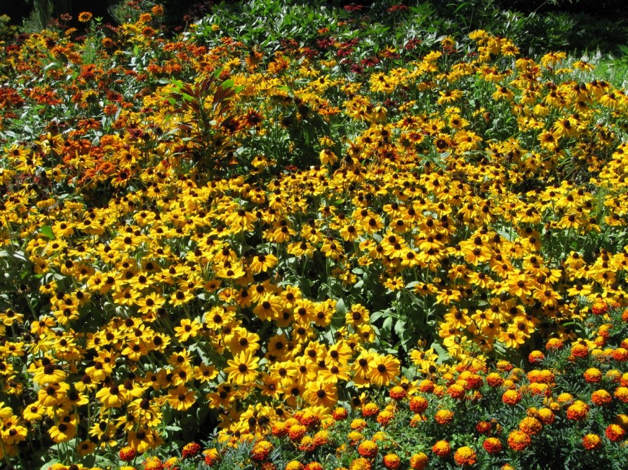 mosh_pit_elengrey_september_2013 (1280x960)