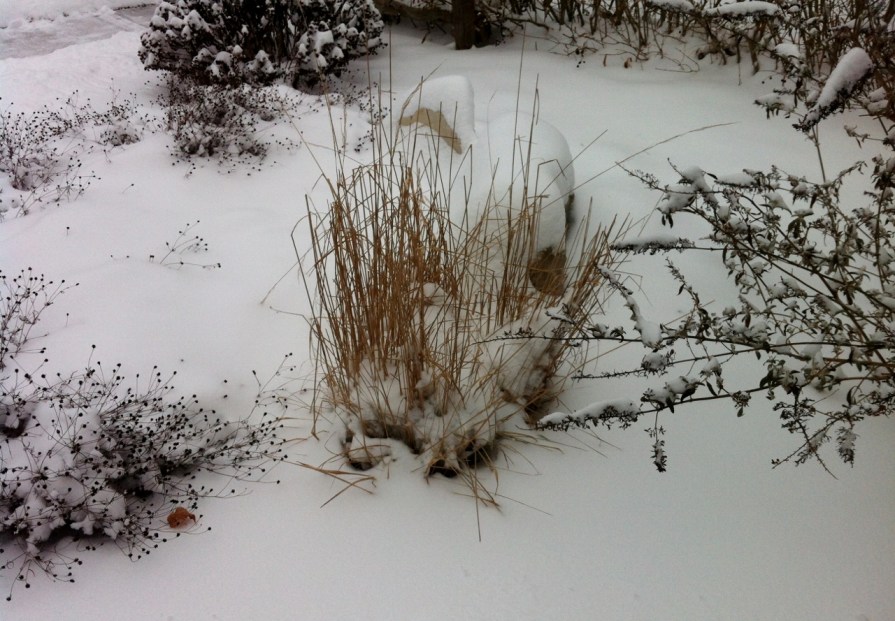 after_the_snow_elengrey_december_2013 (1280x889)