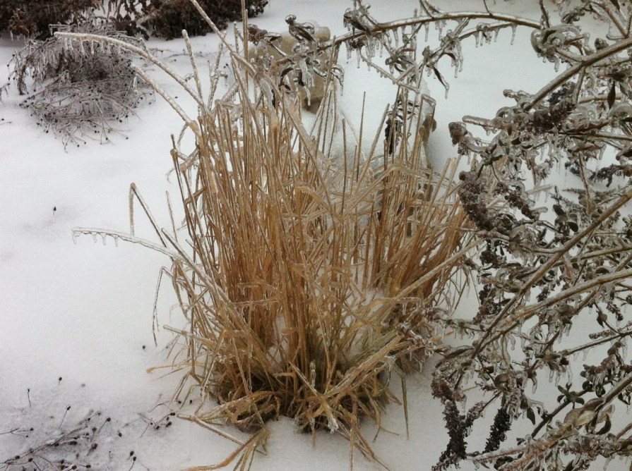 after_the_ice_elengrey_december_2013 (1280x956)