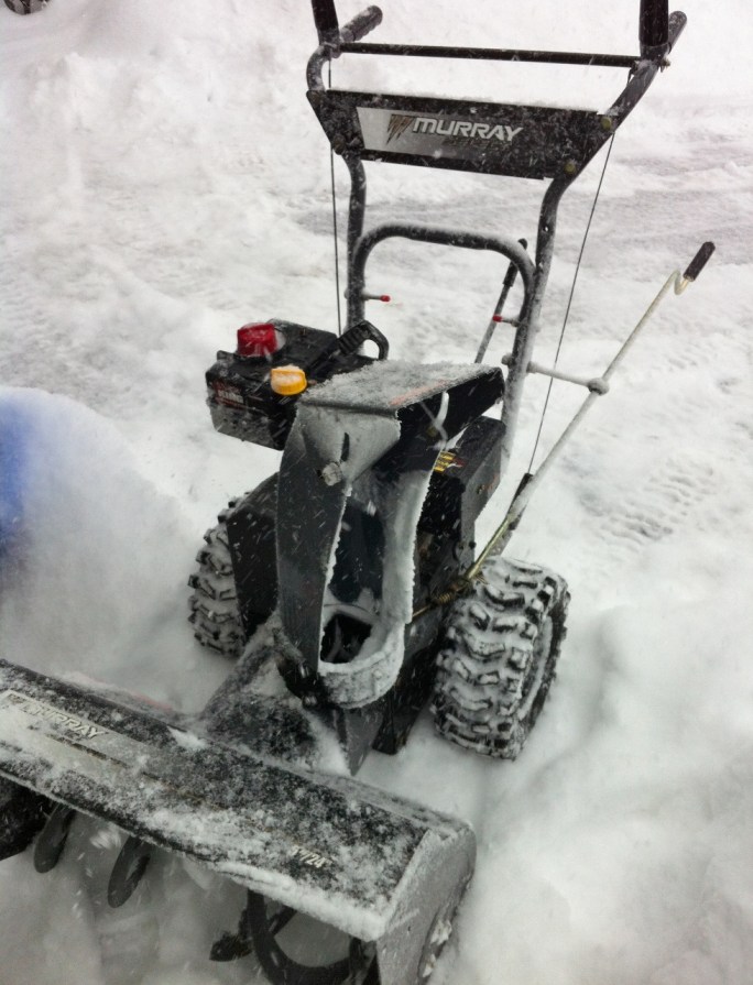 IMG_5849_murray_elengrey_february_2014 (978x1280)