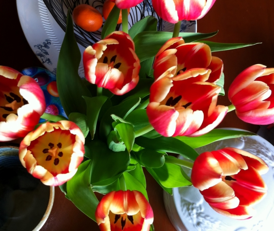 IMG_6178_table_tulips_elengrey_april_2014 (1024x863)