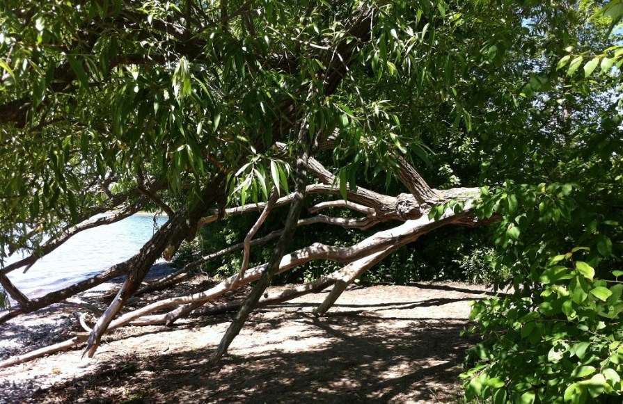 IMG_6802_stripped_elengrey_june_2014 (1024x665)