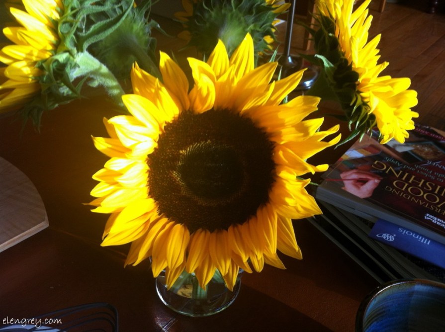 IMG_7557_sunflower_elengrey_september_2014 (1024x765)