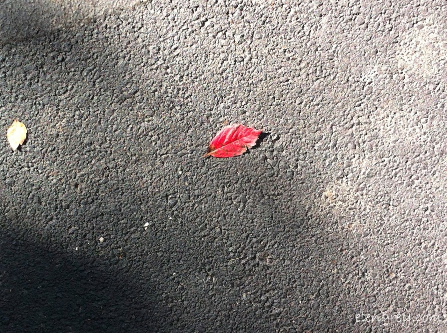 IMG_7982_hello_october_2014 (1280x956)