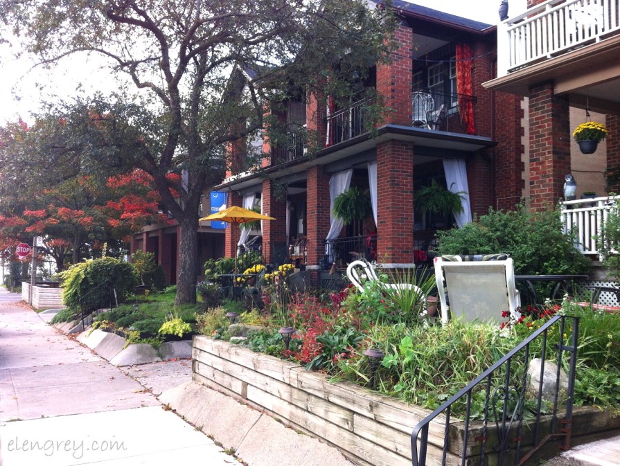 IMG_8135_autumn_sunday_2_october_2014 (1280x963)