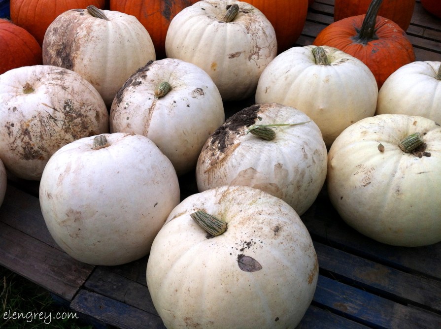 IMG_8245_benched_october_2014 (1280x956)