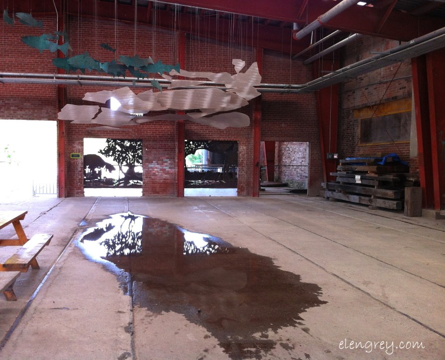 IMG_7300_reflection_puddle_elengrey_september_2014 (1280x1036)