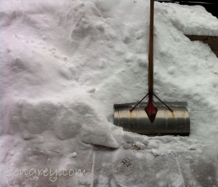 IMG_9491_mondays_constant_companion_elengrey_february_2015 (1280x1102)